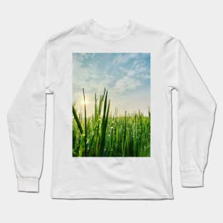 Little Grass Long Sleeve T-Shirt